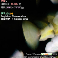 Dictionary.NET(���﷭�빤��)