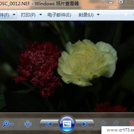 raw��ʽ�鿴��