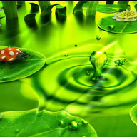 �����ĕ�������ˮ����3D����(Watery Desktop 3D)