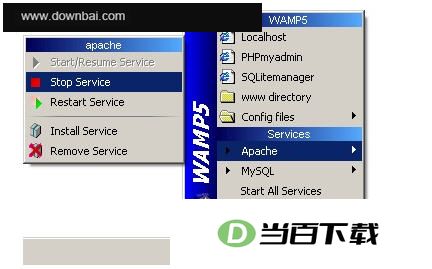 Windos Apache Mysql PHP���ɰ�װ����(WampServer) �����ͼ