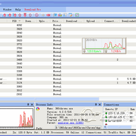 ���������������(NetBalancer Free)