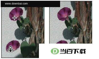 ͼ�¿�¡��ʦ(Free Clone Stamp Tool) ���������ͼ
