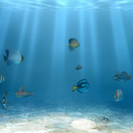 3D������� Sim Aquarium 3D