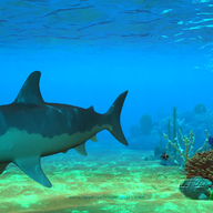 3d�������綯̬����(nfs3DUnderWaterLife4)