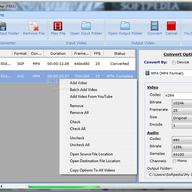 ������Ƶת����(Ace Video Converter)