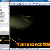 ForceVision