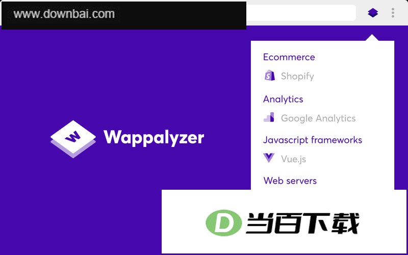 Wappalyzer插件 v6.12.4 软件界面截图