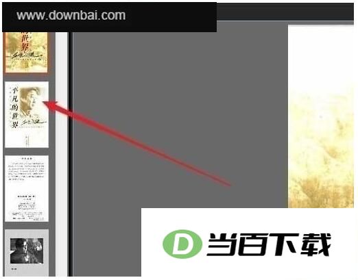 CubePDF Viewer(PDF�����) v0.4.2��Ѱ� ������ͼ