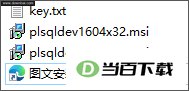 plsql developer 16�����ر�� v16.0.8.2176 64λ32λ ���������ͼ