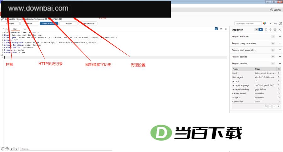 BurpSuite Pro�ٷ��� v2026.8 �����ͼ