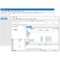 Xshell Plus 8������ɫ�� v8.0.0021r