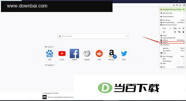 火狐浏览器编译版 v153.0.4中文版 软件界面截图