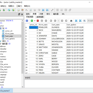 SqliteStudio(sqlite���ݿ��������) v4.0.3�ٷ���