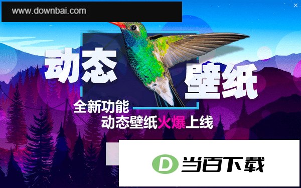 小鸟壁纸 软件界面截图