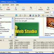 Offline Explorer Pro