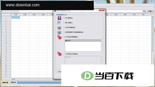 SPSS 软件界面截图