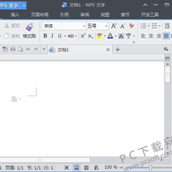 WPS Office11.1.0.7989