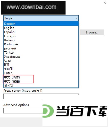 DLNow Video Downloader中文版 软件界面截图