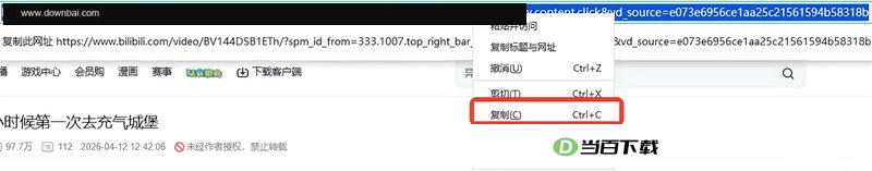 4K Downloader 软件界面截图