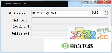 NAT类型测试工具 软件界面截图