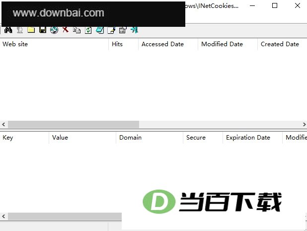 IECookiesView(cookies查看器) 软件界面截图
