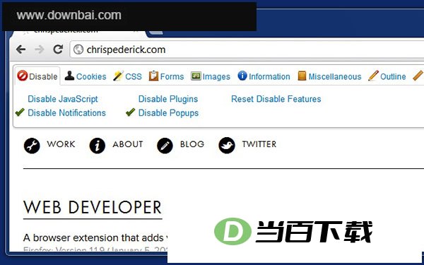 web developer�ȸ��������� ���������ͼ