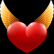 Dns Angel(DNS����)