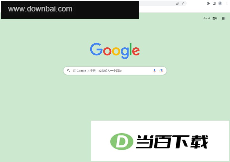 谷歌浏览器绿色便携免安装版 软件界面截图