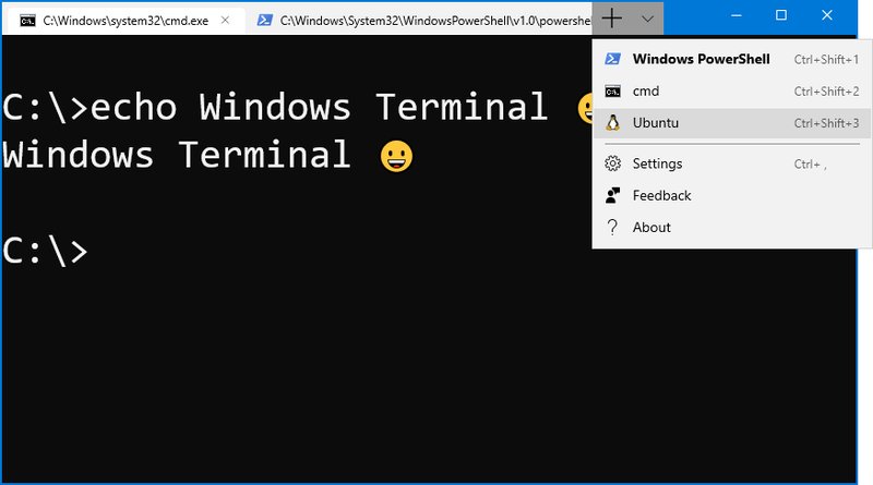 Windows Terminal ������ͼ