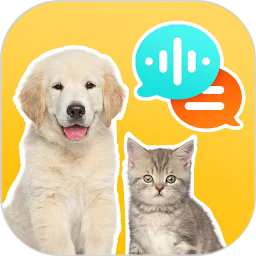 �������Է�������app