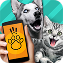 Pet Translator����Ի�������