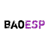 baoESP����С��espֱװ