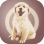 �˹�������app