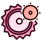 ���ָ�����ɫ