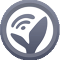 ����β��app