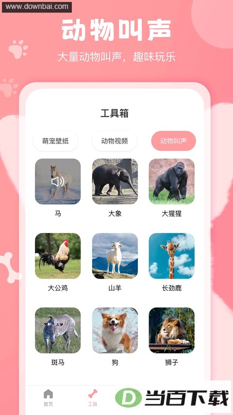 ���﷭����app��ͼ3