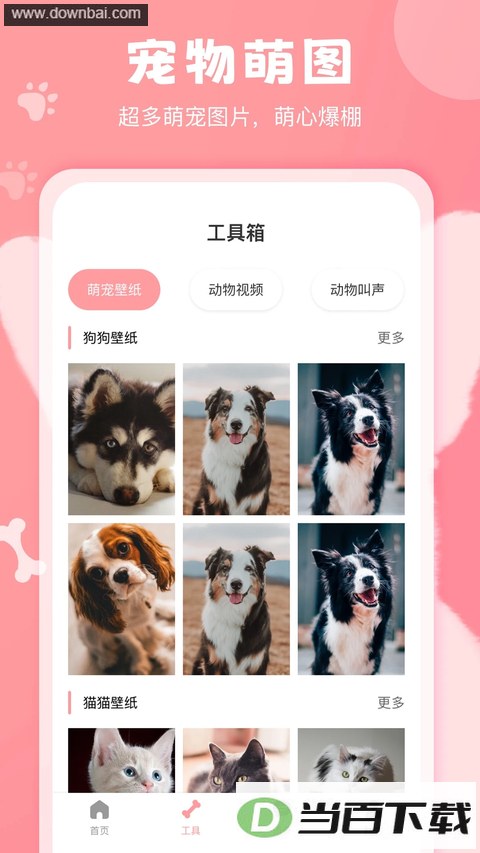 ���﷭����app��ͼ4