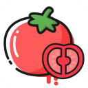 �������ʳApp