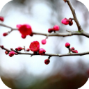 ÷�������ʼ�app