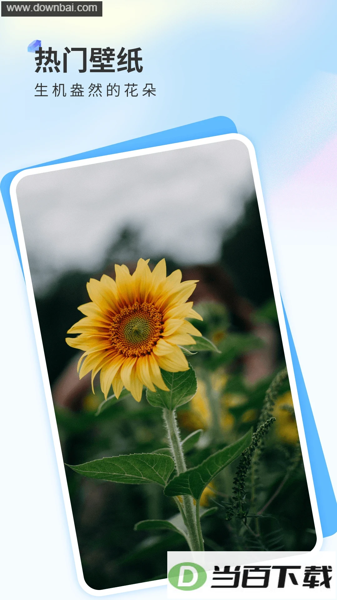 ������ֽapp��ͼ4