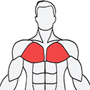 MuscleWiki���İ�