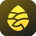 �ɹ�����App