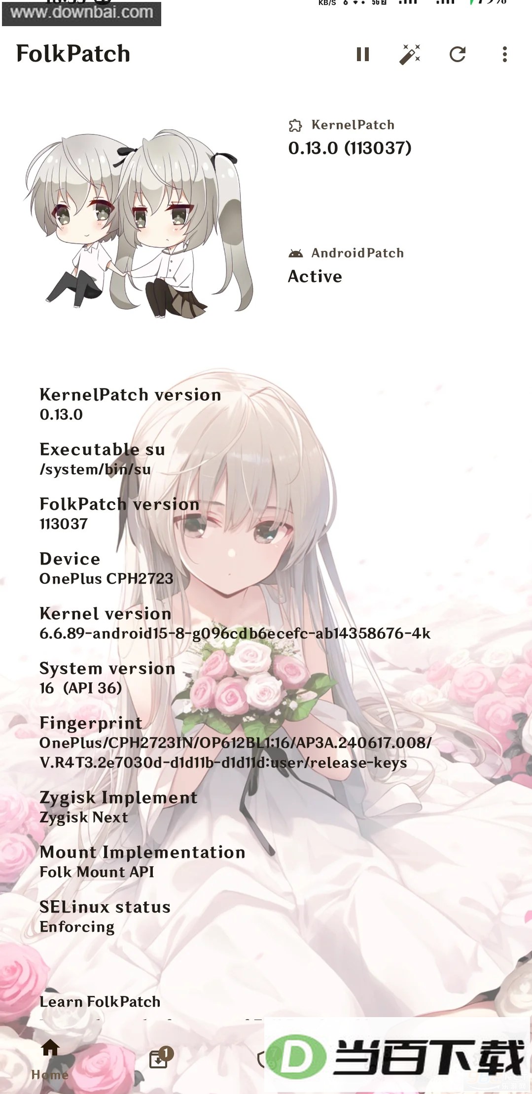 FolkPatch��ͼ4