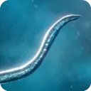Bionix����ģ����2026