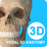 ά����3D����