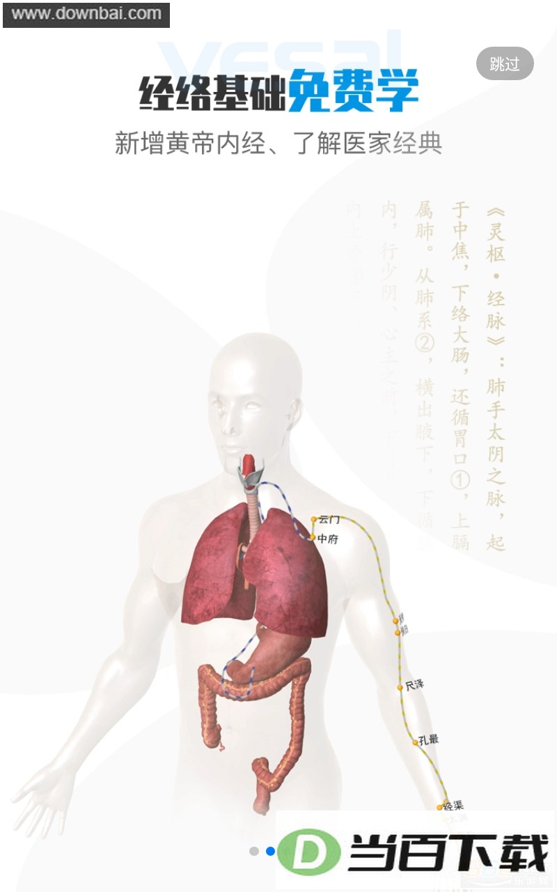 ά����3D���ʽ�ͼ4