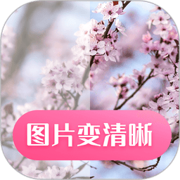 ͼƬ������app