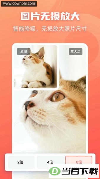 �˸�ʽ��ͼ��ʦ������ͼ2