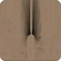 ��ŭ���ھ�
