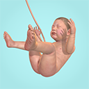 �Ÿ�����Ϸ(9 Months)